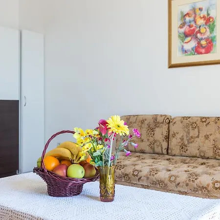 Apartment Alan * دوبروفينك